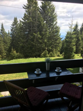 Отель Apartment Gaber 82  Зрече